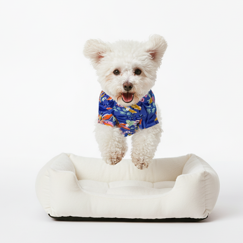 Biscuit - Iggy Hawaiian Shirt