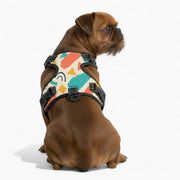 Beau - NO-PULL Iggy Harness & Leash Set | for small and large Dogs