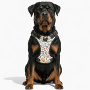 LOKI - NO-PULL Iggy Harness & Leash Set | for small and large Dogs