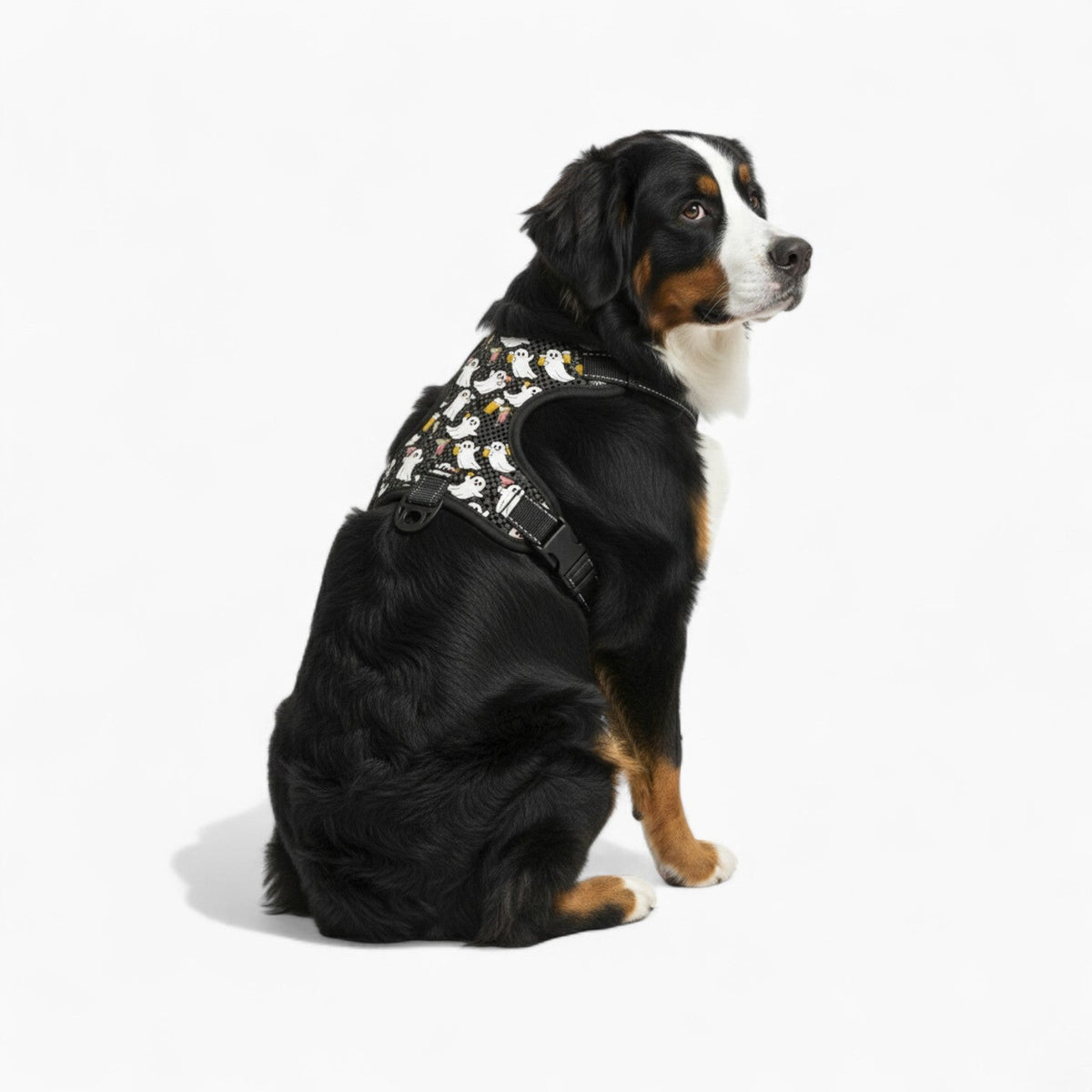 Ace - NO-PULL Iggy Harness & Leash Set | for small and large Dogs