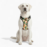 Hank - NO-PULL Iggy Harness