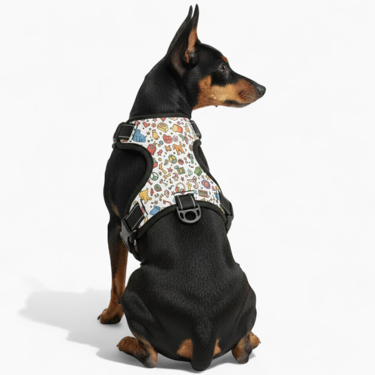 LOKI - NO-PULL Iggy Harness & Leash Set | for small and large Dogs