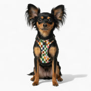 Ruby - NO-PULL Iggy Harness & Leash Set | for small and large Dogs