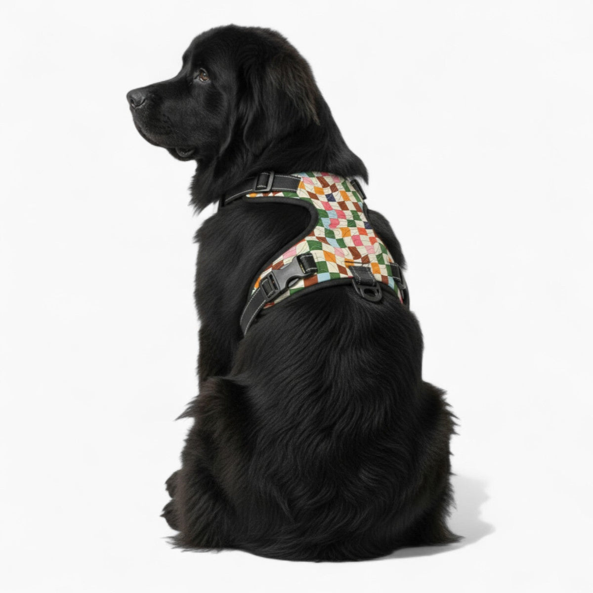 Ruby - NO-PULL Iggy Harness & Leash Set | for small and large Dogs