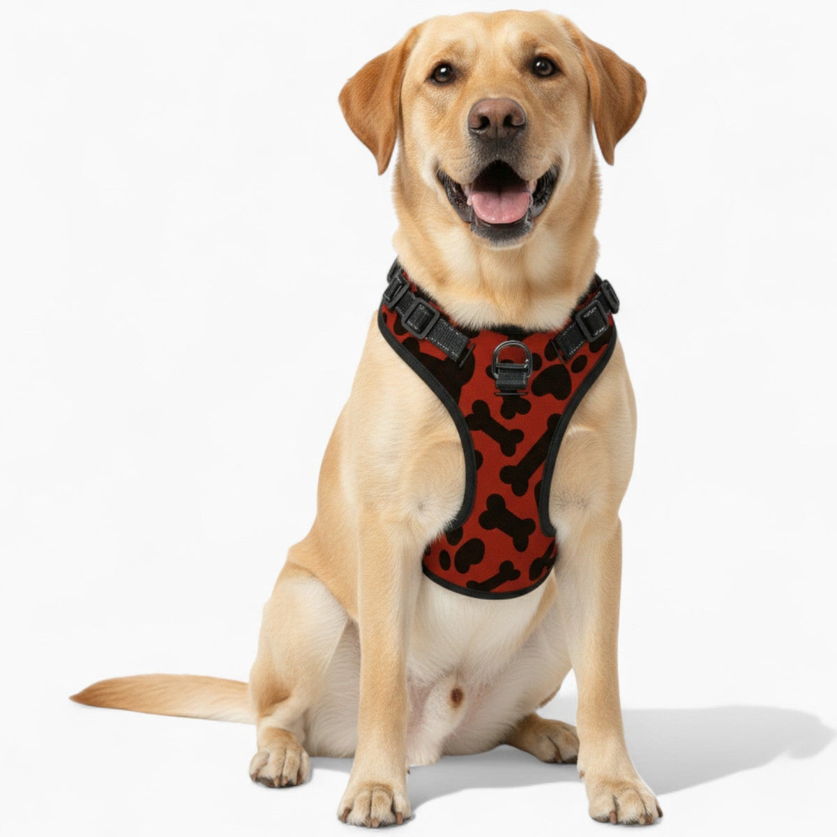 Daisy - NO-PULL Iggy Harness & Leash Set | for small and large Dogs