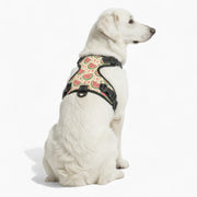 Coco - NO-PULL Iggy Harness & Leash Set | for small and large Dogs