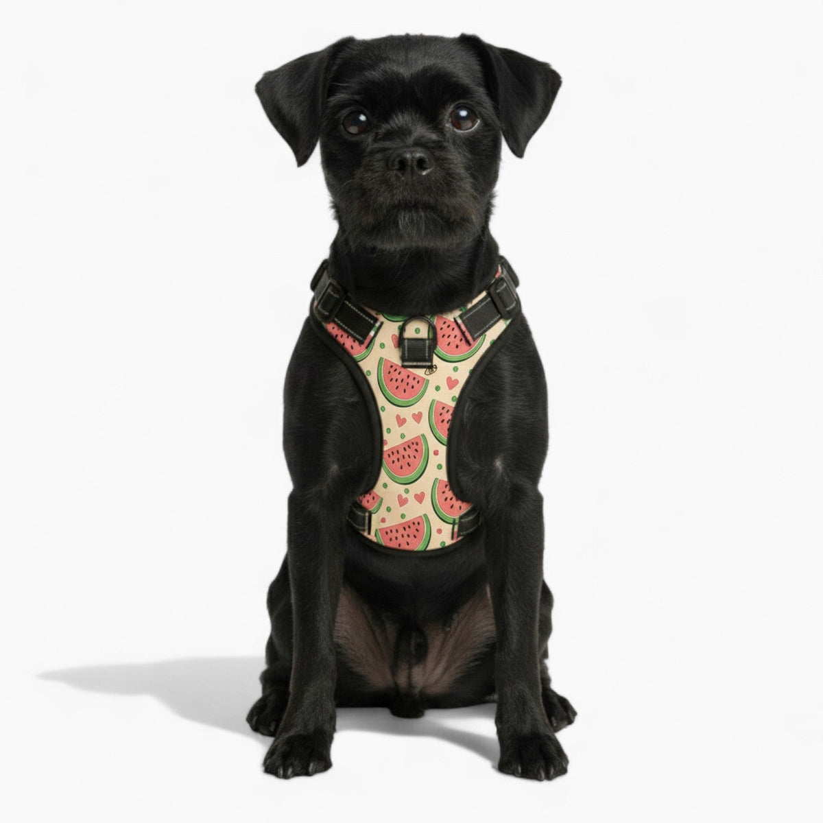 Coco - NO-PULL Iggy Harness & Leash Set | for small and large Dogs