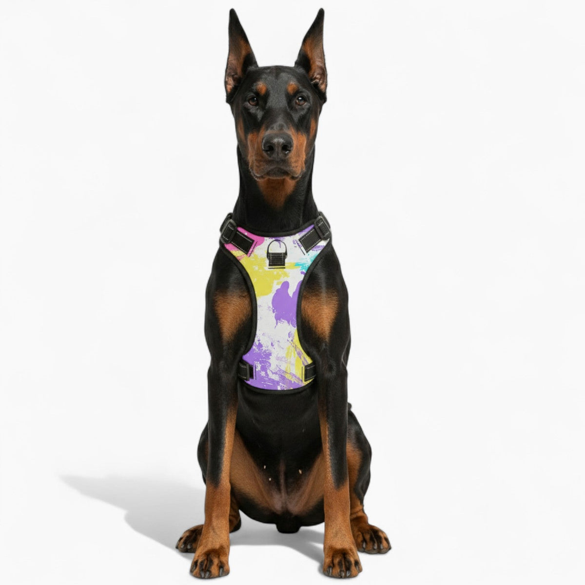 Rocco - NO-PULL Iggy Harness & Leash Set | for small and large Dogs