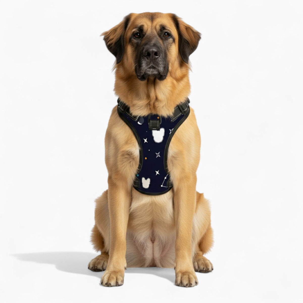 Apollo - NO-PULL Iggy Harness & Leash Set | for small and large Dogs
