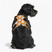 Mocha - NO-PULL Iggy Harness & Leash Set | for small and large Dogs