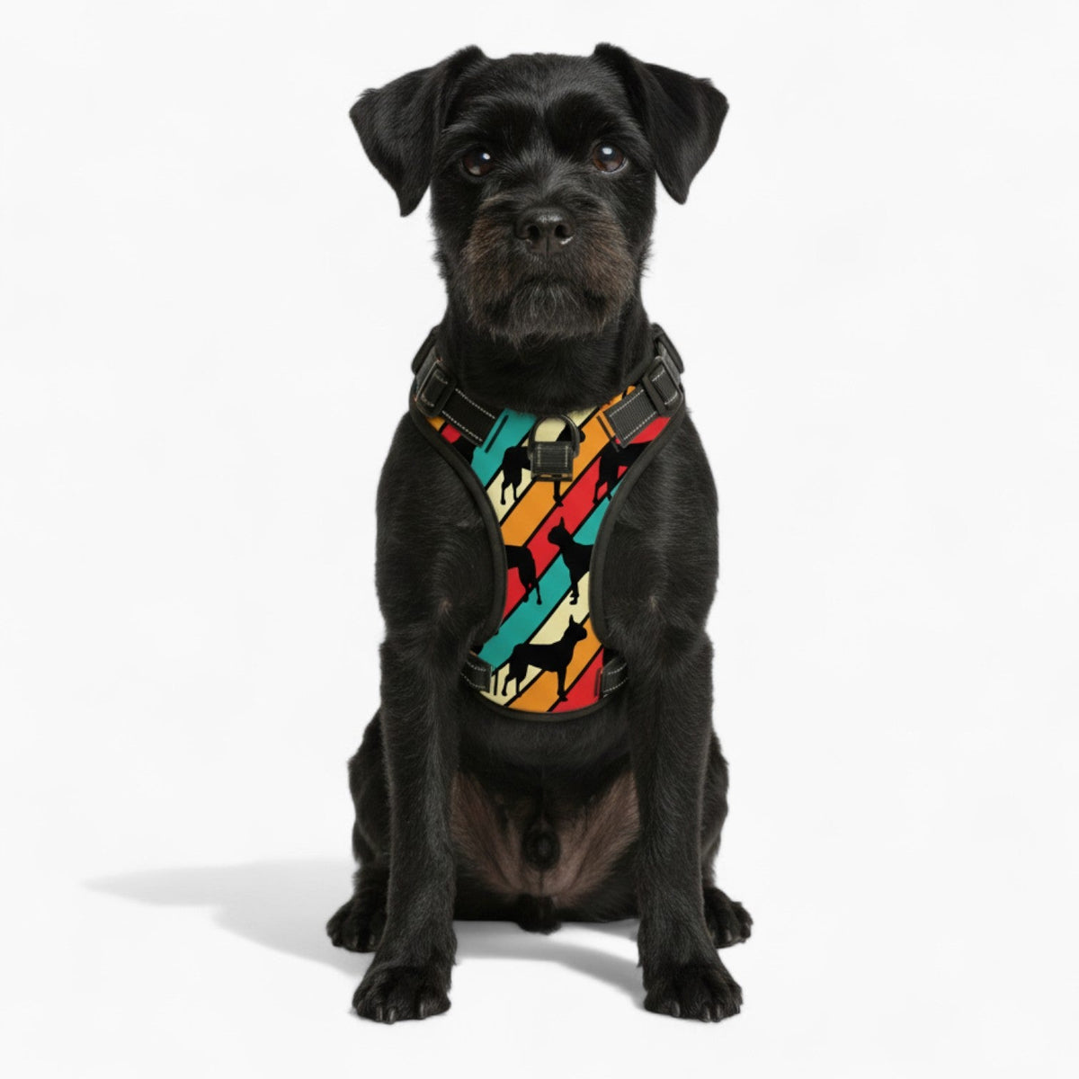 Lily - NO-PULL Iggy Harness & Leash Set | for small and large Dogs