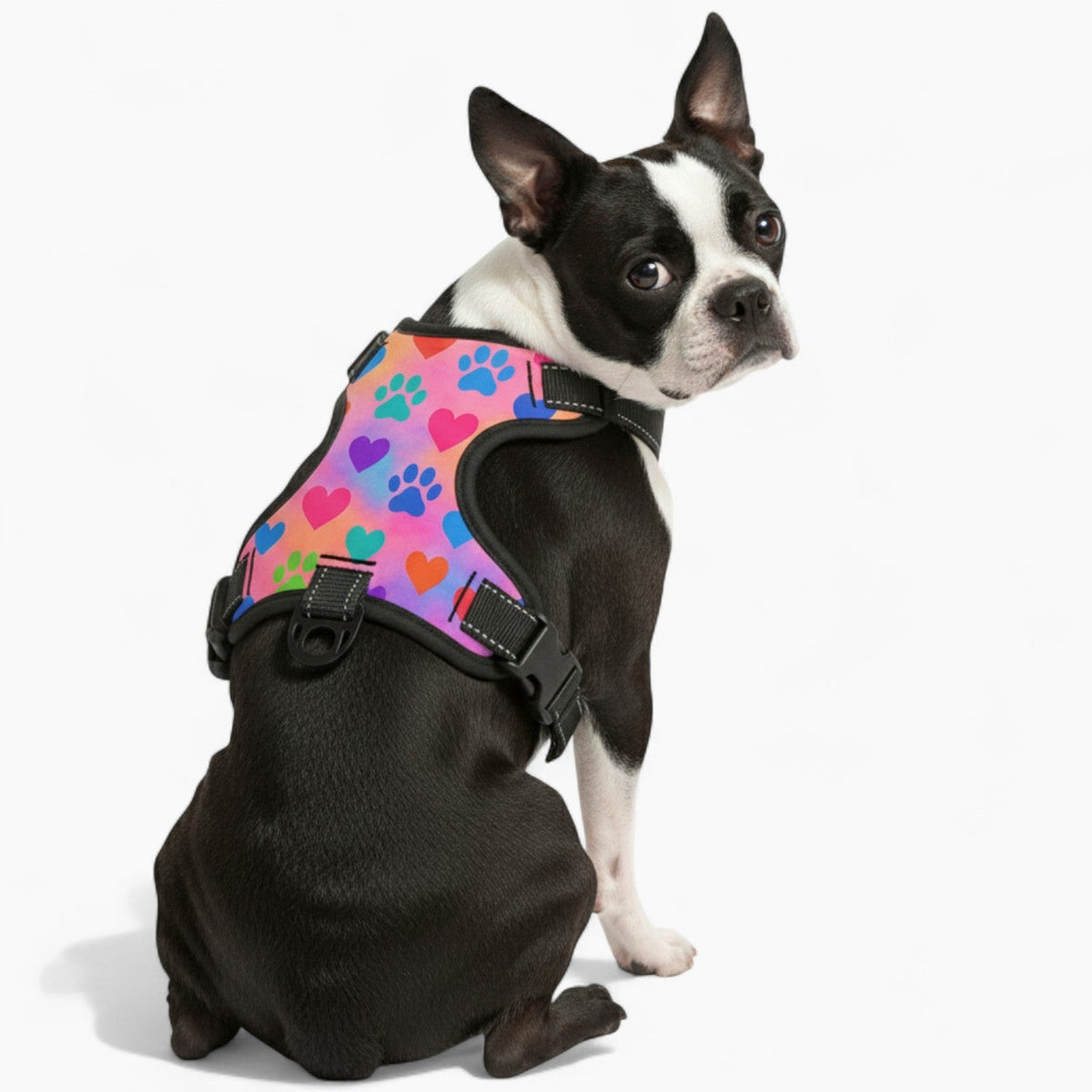 Rosy - NO-PULL Iggy Harness & Leash Set | for small and large Dogs