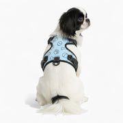 Rex - NO-PULL Iggy Harness & Leash Set | for small and large Dogs