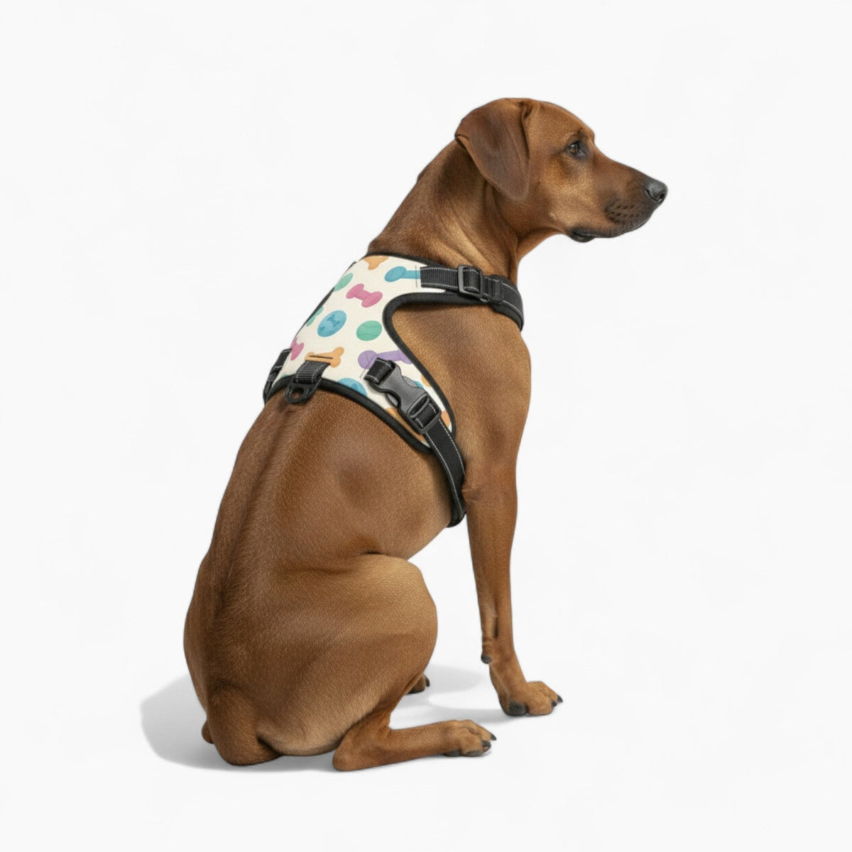 Luke - NO-PULL Iggy Harness & Leash Set | for small and large Dogs
