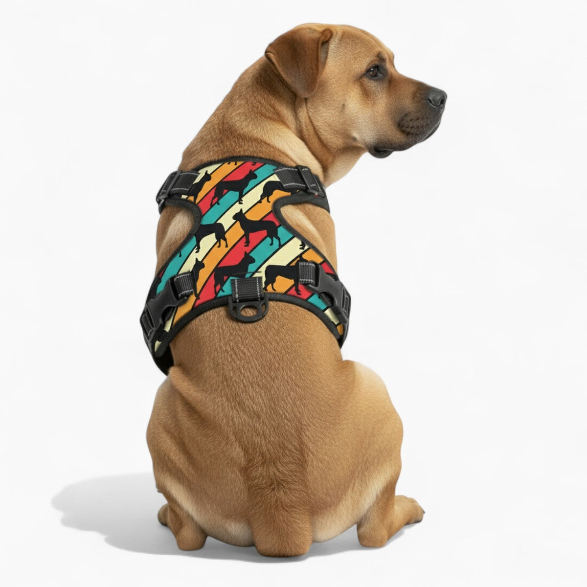 Lily - NO-PULL Iggy Harness & Leash Set | for small and large Dogs