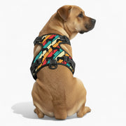 Lily - NO-PULL Iggy Harness & Leash Set | for small and large Dogs