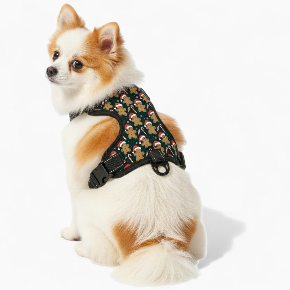 Bruna - NO-PULL Iggy Harness & Leash Set | for small and large Dogs