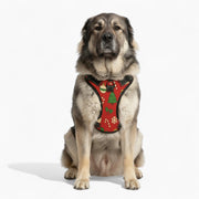 Stella - NO-PULL Iggy Harness & Leash Set | for small and large Dogs