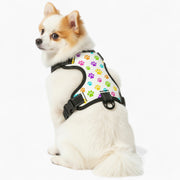 Archie - NO-PULL Iggy Harness & Leash Set | for small and large Dogs