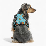 Ozzy - NO-PULL Iggy Harness & Leash Set | for small and large Dogs