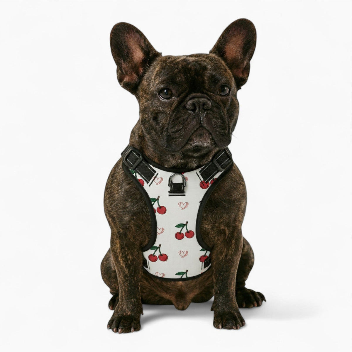 Finn - NO-PULL Iggy Harness & Leash Set | for small and large Dogs