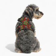 Lexi - NO-PULL Iggy Harness & Leash Set | for small and large Dogs