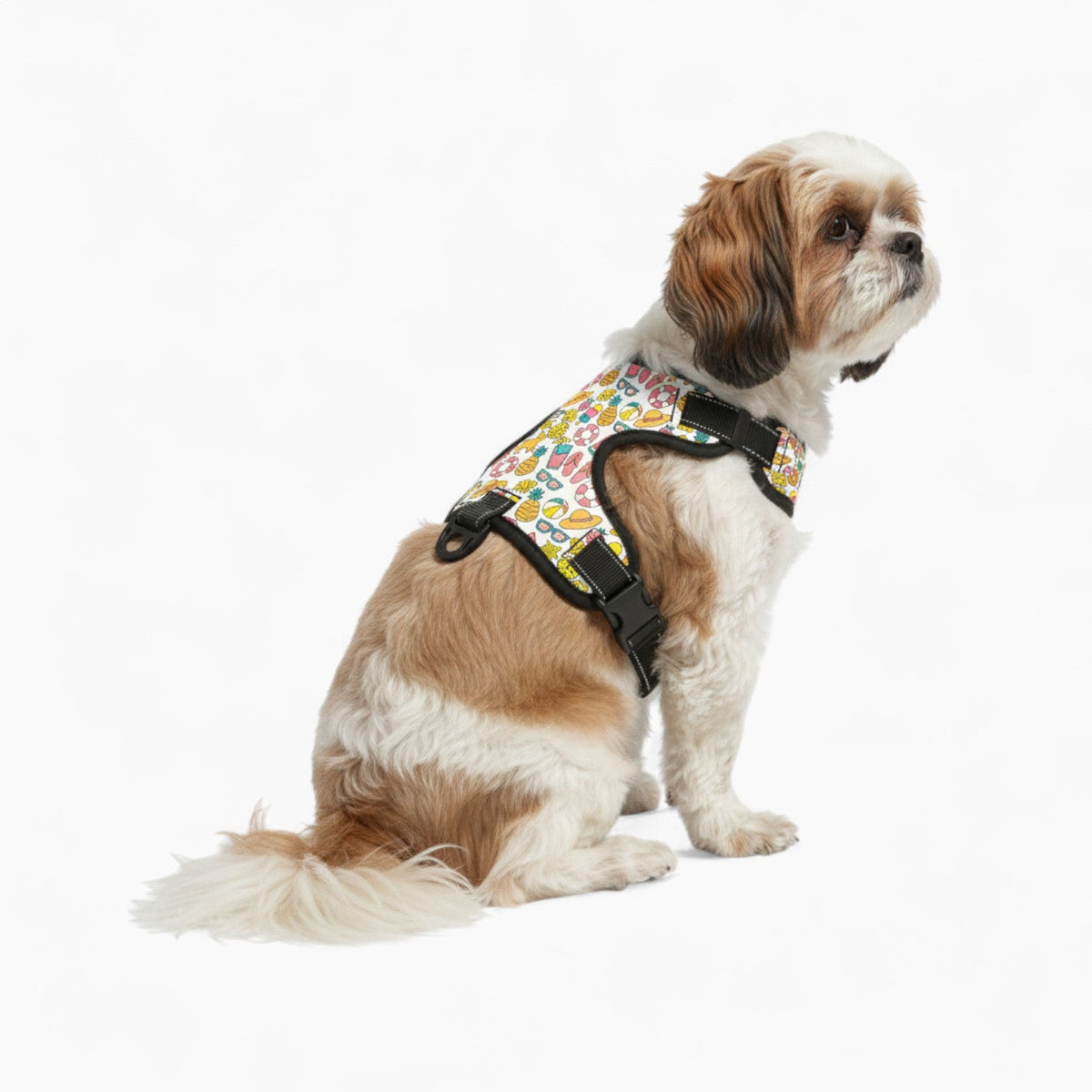 teddy - NO-PULL Iggy Harness & Leash Set | for small and large Dogs
