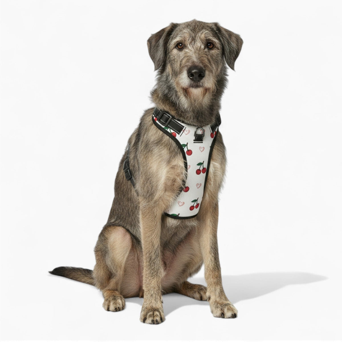 Finn - NO-PULL Iggy Harness & Leash Set | for small and large Dogs