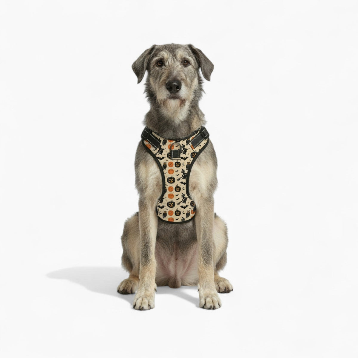 Roxy - NO-PULL Iggy Harness & Leash Set | for small and large Dogs