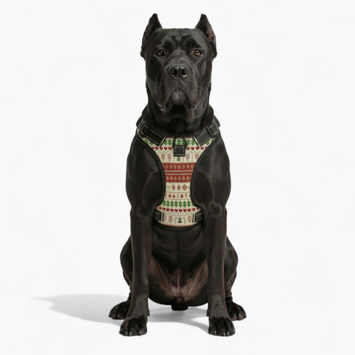 Tayson - NO-PULL Iggy Harness & Leash Set | for small and large Dogs