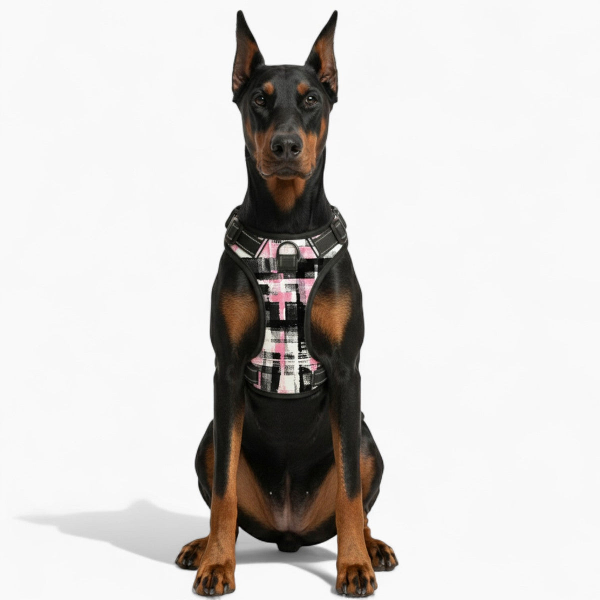 Thor - NO-PULL Iggy Harness & Leash Set | for small and large Dogs