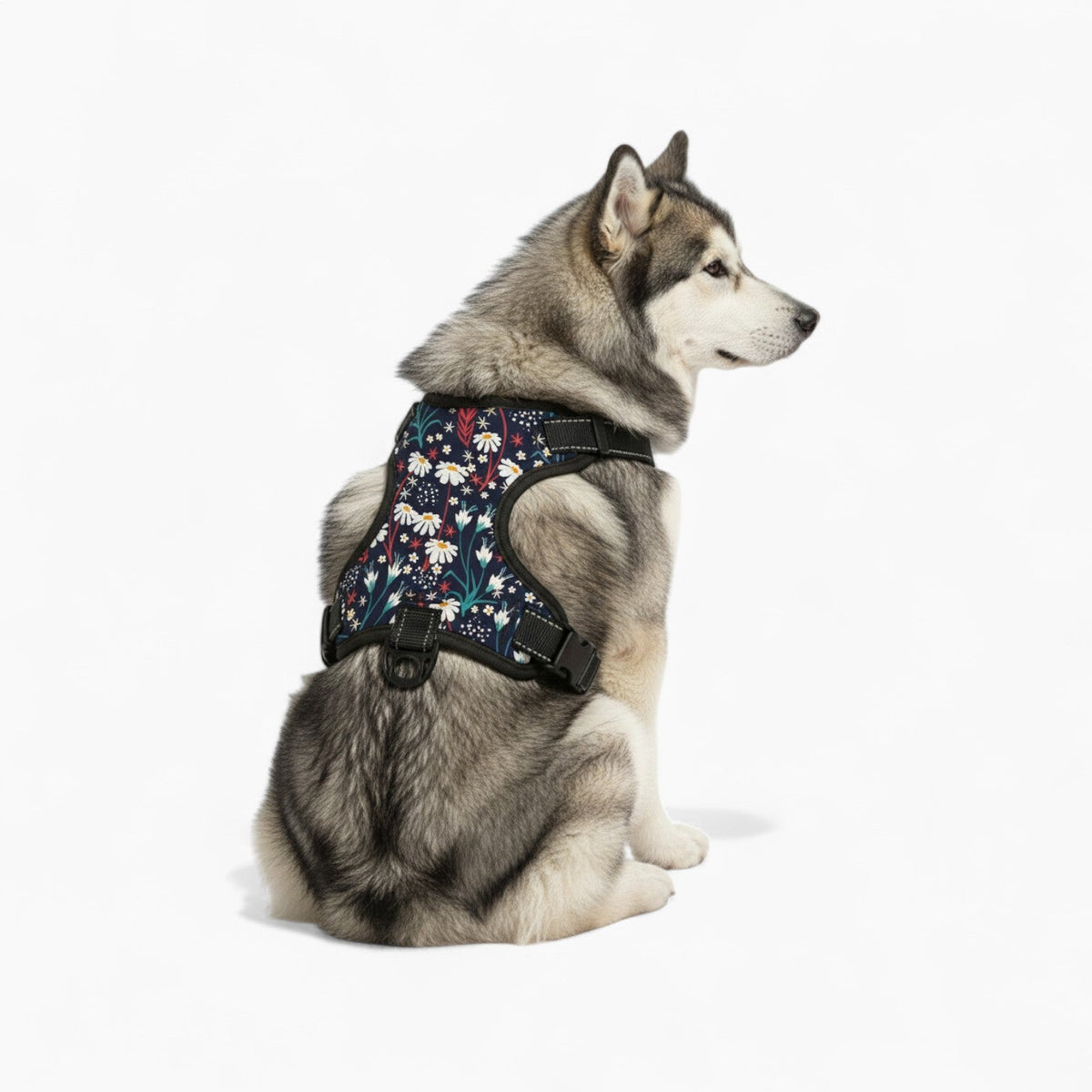 Juce - NO-PULL Iggy Harness & Leash Set | for small and large Dogs