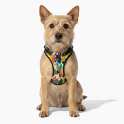 Chloe - NO-PULL Iggy Harness & Leash Set | for small and large Dogs