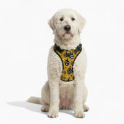 Hunter - NO-PULL Iggy Harness & Leash Set | for small and large Dogs