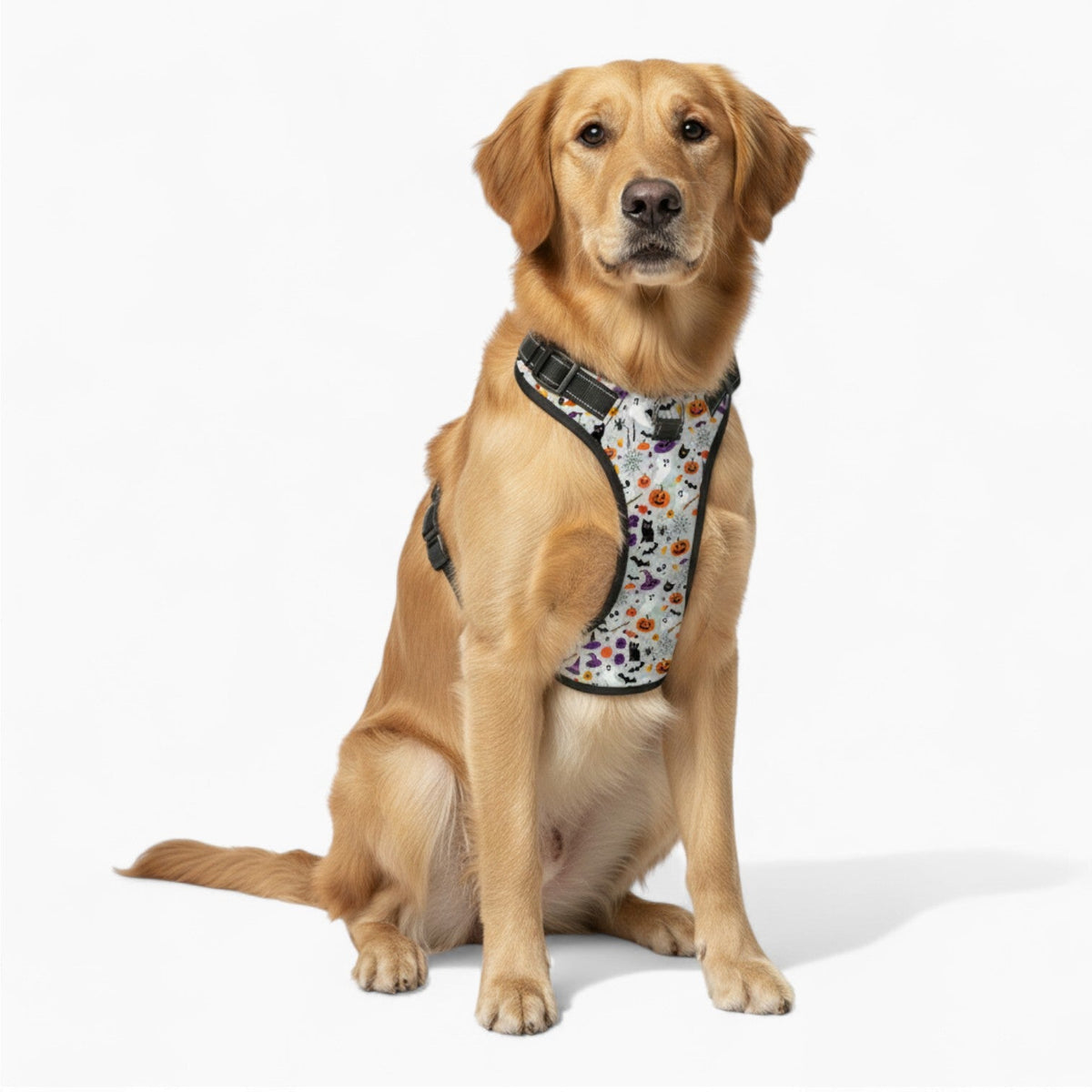 Max - NO-PULL Iggy Harness & Leash Set | for small and large Dogs