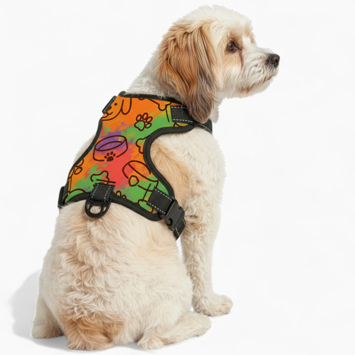 Molly - NO-PULL Iggy Harness & Leash Set | for small and large Dogs