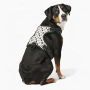 Baily - NO-PULL Iggy Harness & Leash Set | for small and large Dogs