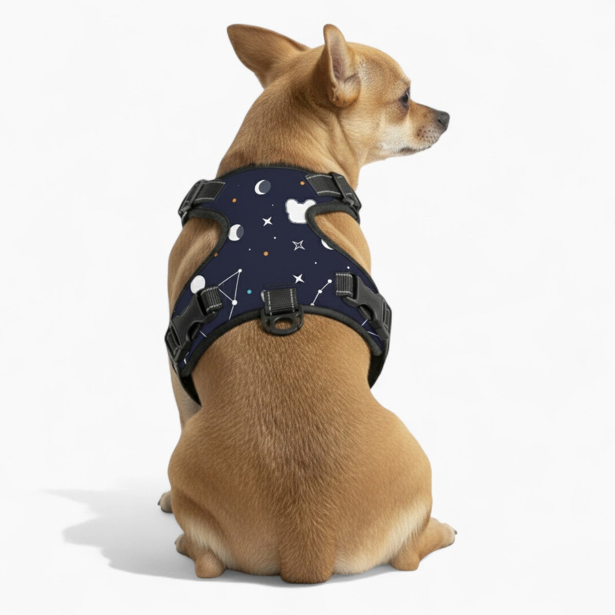 Apollo - NO-PULL Iggy Harness & Leash Set | for small and large Dogs