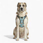 Layla - NO-PULL Iggy Harness & Leash Set | for small and large Dogs