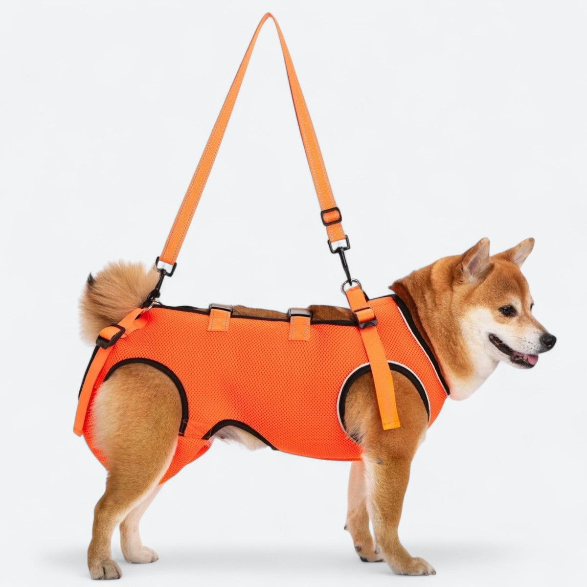 dog lift harness for dogs