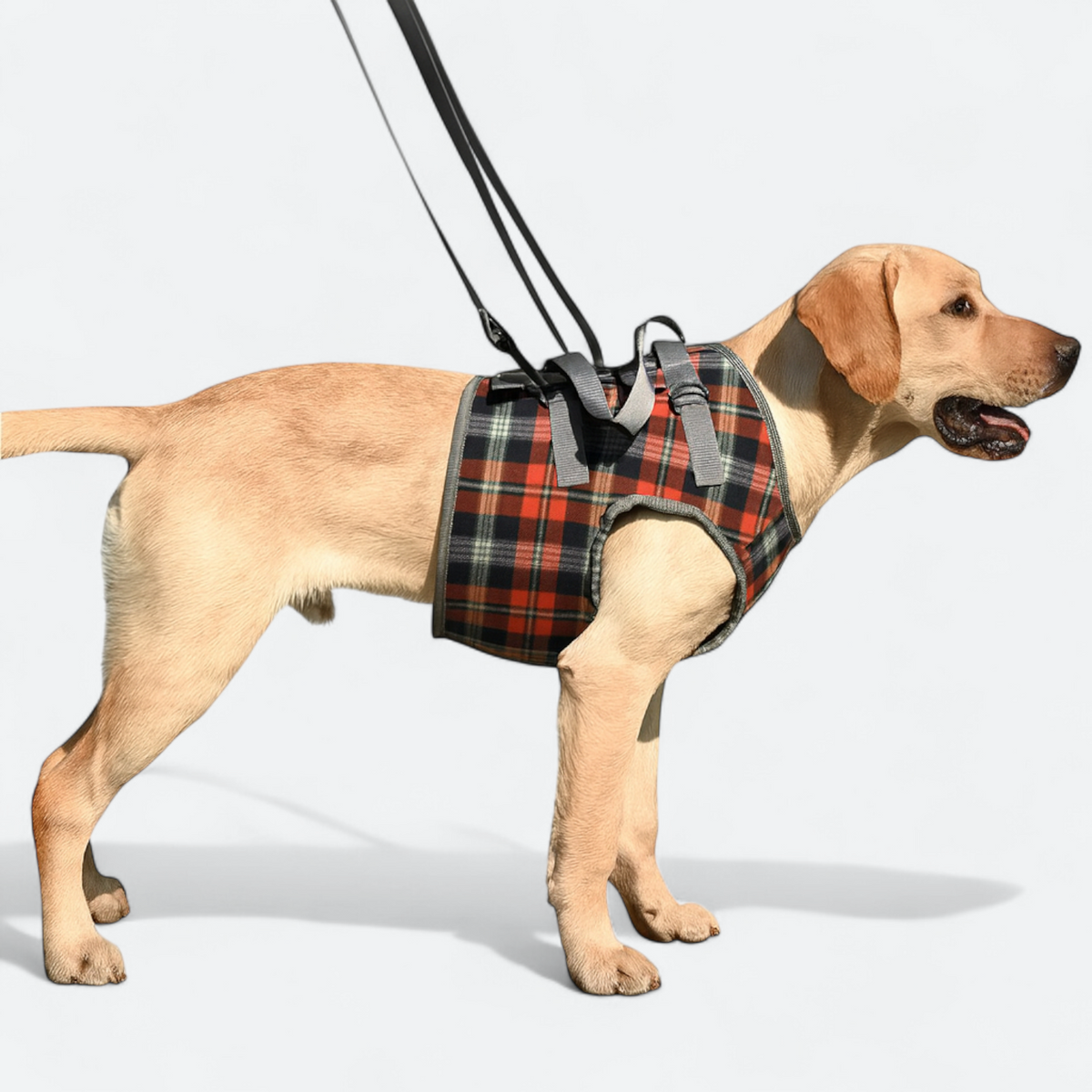 dog lift harness for dogs