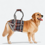 dog lifting harness