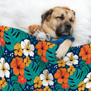 Sophie - Cozy Iggy Blanket
