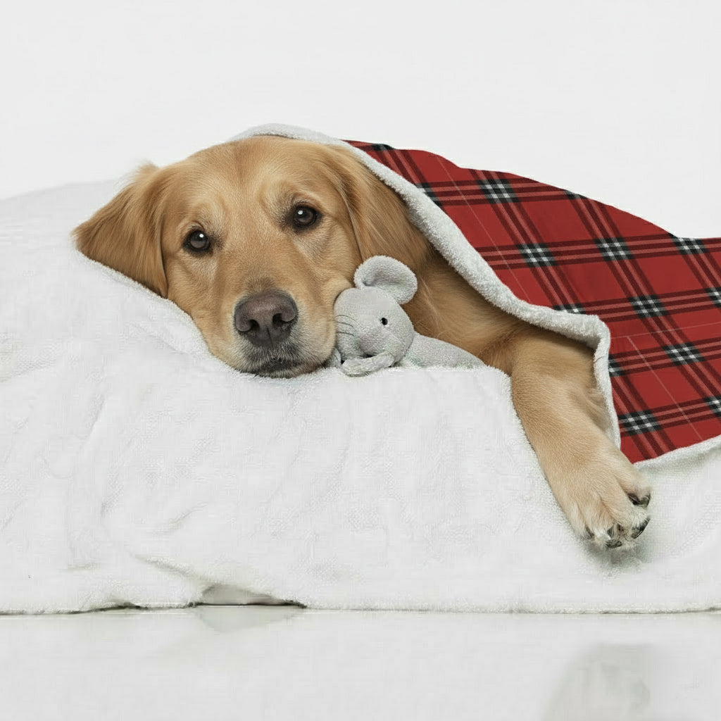 Poppy - Cozy Iggy Blanket