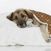 Kira - Cozy Iggy Blanket