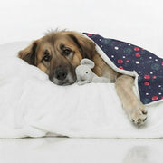 Jay - Cozy Iggy Blanket