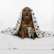 Casper - Cozy Iggy Blanket
