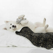 Romeo - Cozy Iggy Blanket