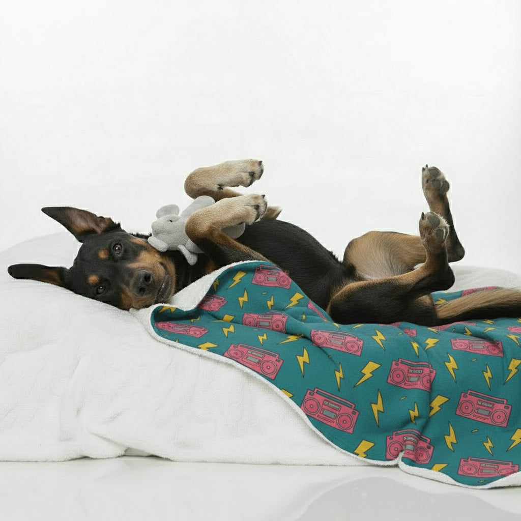 Rufus - Cozy Iggy Blanket