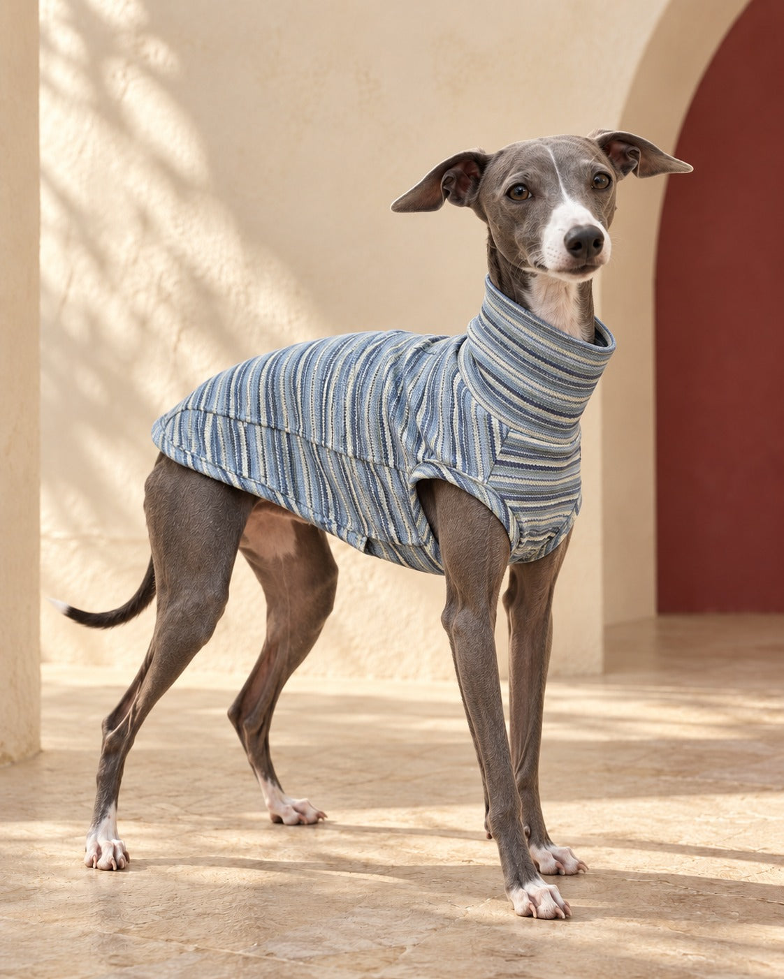 Fine Stripe Cotton Iggy Tank in Blue, worn by an Italian Greyhound